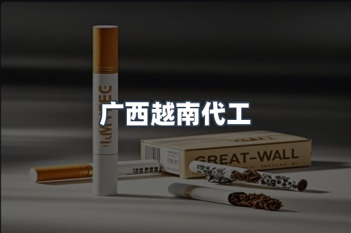 广西越南代工